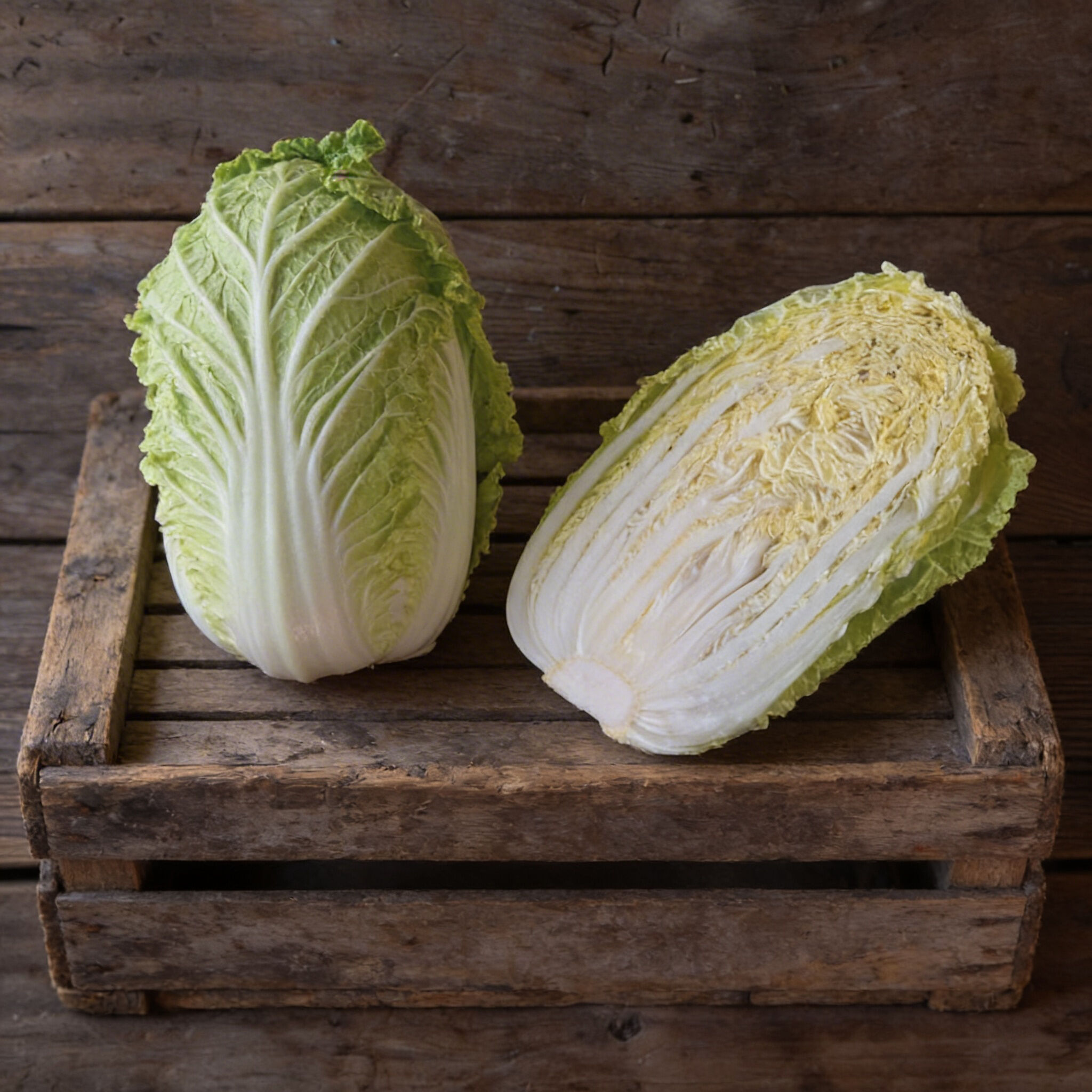 Michihili, Pak Choi Cabbage | Urban Farmer